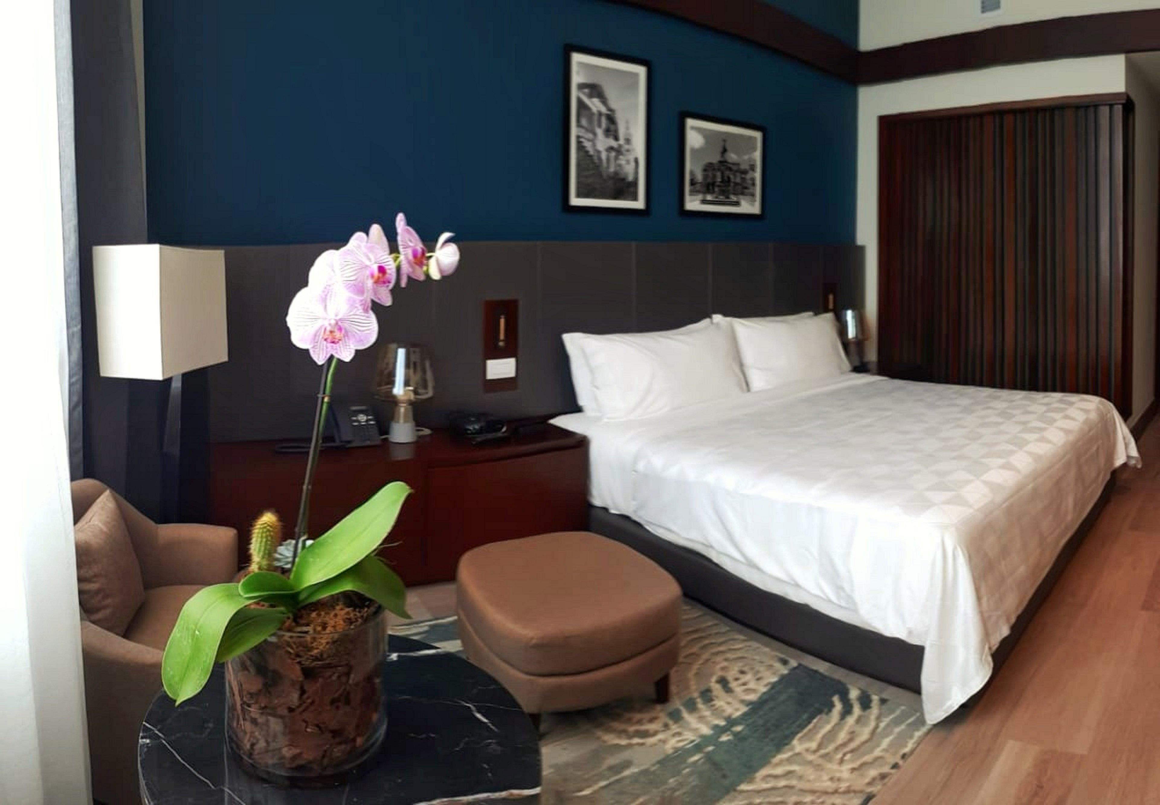 ホリデイイン サントドミンゴ ホテル＆スイーツ エクステリア 写真 A bedroom at the hotel